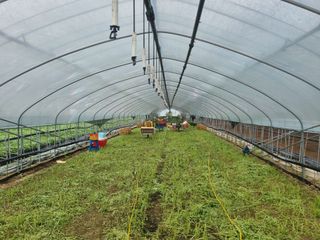 강길구님의 우리동네 · 동네정보 작성글 사진