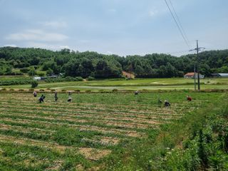 강길구님의 우리동네 · 동네정보 작성글 사진