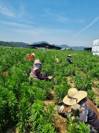 강길구님의 우리동네 · 동네정보 작성글 사진