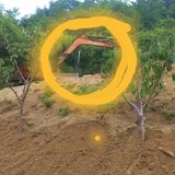 팜모닝 장마 대비 어떻게 하셨나요?·참여 게시글 이미지