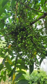 팜모닝 자유주제·자유게시판 게시글 이미지