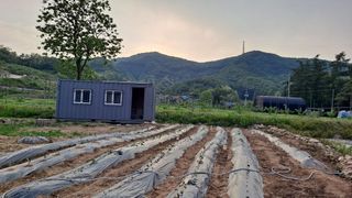 원술님의 장마 대비 어떻게 하셨나요? · 참여 작성글 사진