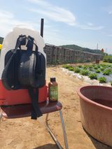 팜모닝 장마 대비 어떻게 하셨나요?·참여 게시글 이미지