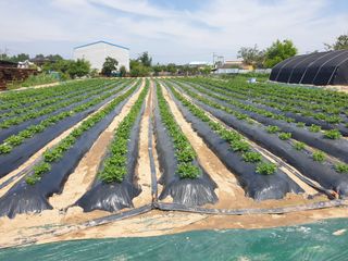 박명흠 님의 장마 대비 어떻게 하셨나요? · 참여 작성글 사진