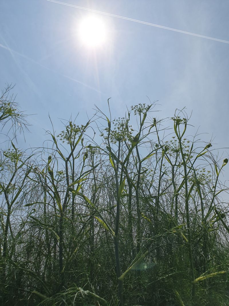 장터 상품 [하루종일 인증과 싸우다. ㅠ ] 썸네일