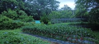 이효순님의 장마 대비 어떻게 하셨나요? · 참여 작성글 사진