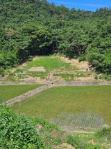 팜모닝 장마 대비 어떻게 하셨나요?·참여 게시글 이미지