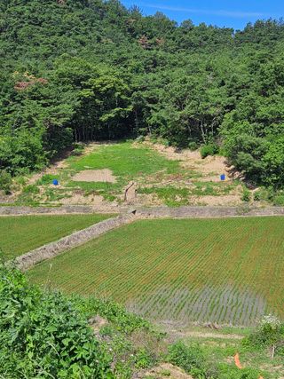 김기용님의 장마 대비 어떻게 하셨나요? · 참여 작성글 사진