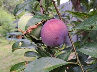 유세운님의 배 · 일상 작성글 사진