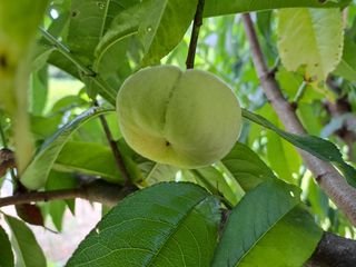 유세운님의 배 · 일상 작성글 사진