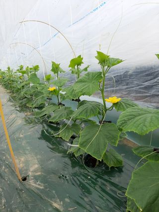 조건님의 작성글 사진