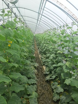 조건님의 작성글 사진