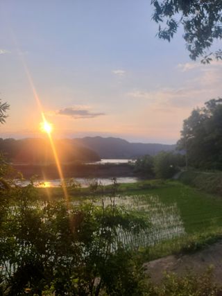 아ᆢ여름이다님의 장마 대비 어떻게 하셨나요? · 참여 작성글 사진