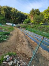 팜모닝 장마 대비 어떻게 하셨나요?·참여 게시글 이미지