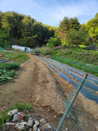 임대운님의 장마 대비 어떻게 하셨나요? · 참여 작성글 사진