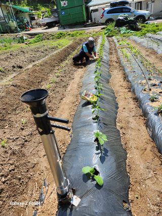 임대운님의 장마 대비 어떻게 하셨나요? · 참여 작성글 사진