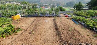 골골님의 장마 대비 어떻게 하셨나요? · 참여 작성글 사진