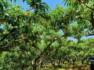 두털이님의 장마 대비 어떻게 하셨나요? · 참여 작성글 사진