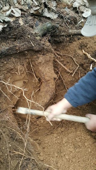 김성종님의 오이 · 병해충상담 작성글 사진