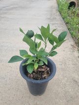 팜모닝 우리동네·동네정보 게시글 이미지