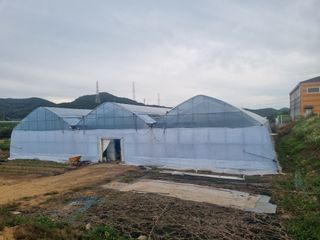 강길구님의 우리동네 · 동네정보 작성글 사진