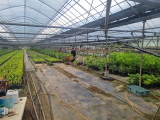 강길구님의 우리동네 · 동네정보 작성글 사진