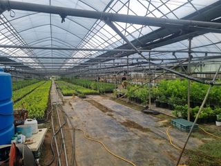 강길구님의 우리동네 · 동네정보 작성글 사진