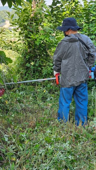늘푸름(심영보)님의 두릅 · 영농일지 작성글 사진