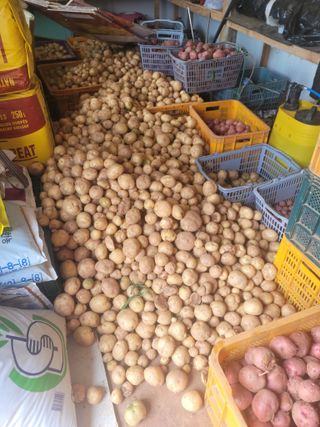 태안까망깜순이아부지님의 감자 · 자유게시판 작성글 사진