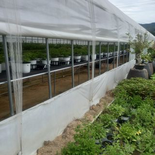 두림님의 장마 대비 어떻게 하셨나요? · 참여 작성글 사진