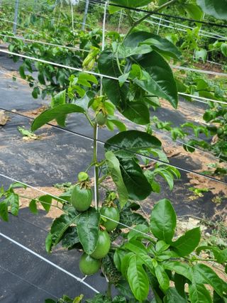이문규님의 자유주제 · 사진전 작성글 사진