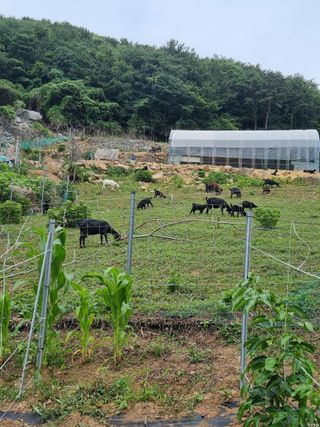 이문규님의 자유주제 · 사진전 작성글 사진