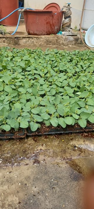 고병길님의 자유주제 · 자유게시판 작성글 사진