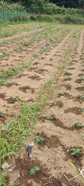 고병길님의 자유주제 · 자유게시판 작성글 사진