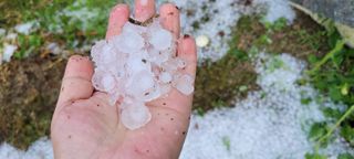 서상진님의 장마 대비 어떻게 하셨나요? · 참여 작성글 사진