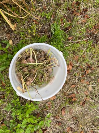 도곡님의 기타작물 · 자유게시판 작성글 사진