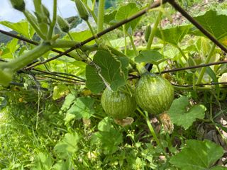 도곡님의 기타작물 · 자유게시판 작성글 사진