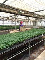 팜모닝 우리동네·구합니다/도움요청 게시글 이미지