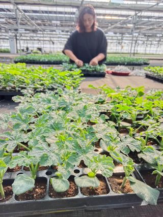 강길구님의 우리동네 · 구합니다/도움요청 작성글 사진