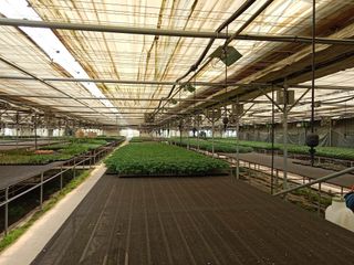 강길구님의 우리동네 · 구합니다/도움요청 작성글 사진