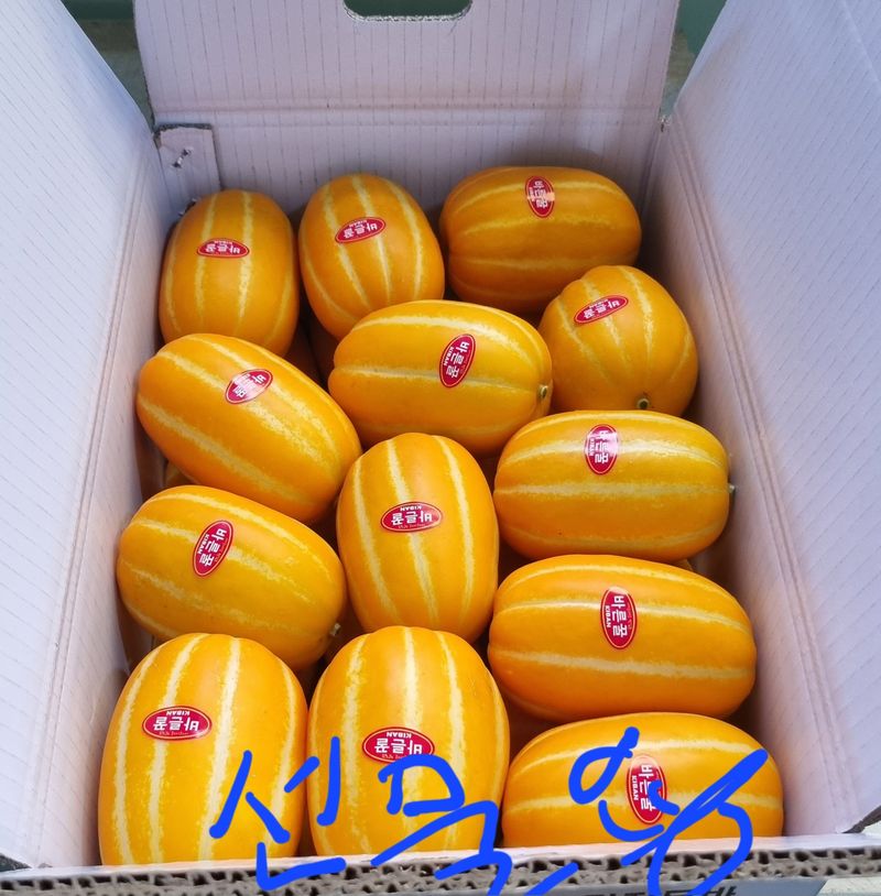 장터 상품 [[추천] 성주참외 3kg.5kg.10kg 달고식감좋아요] 썸네일