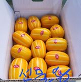 팜모닝 · 게시글 이미지