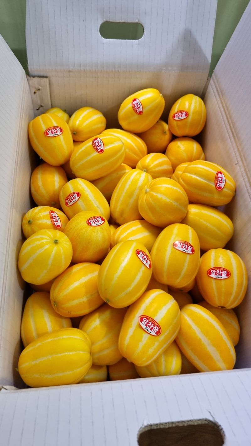 참외님의 장터 판매 상품 [[추천] 성주참외 5kg 달고식감좋아요] 첨부 사진
