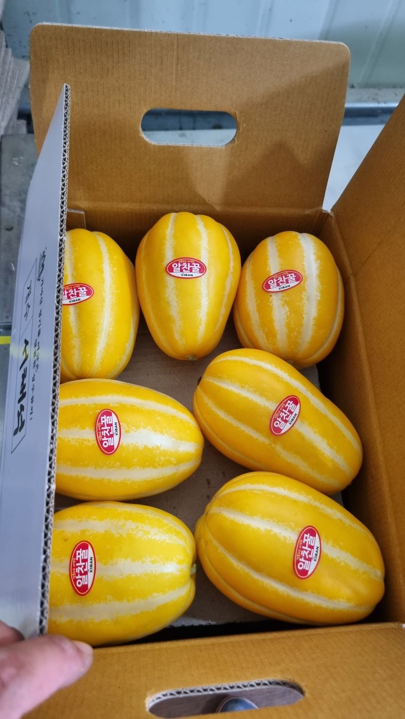 참외님의 장터 판매 상품 [[추천] 성주참외 3kg.5kg.10kg 달고식감좋아요] 첨부 사진