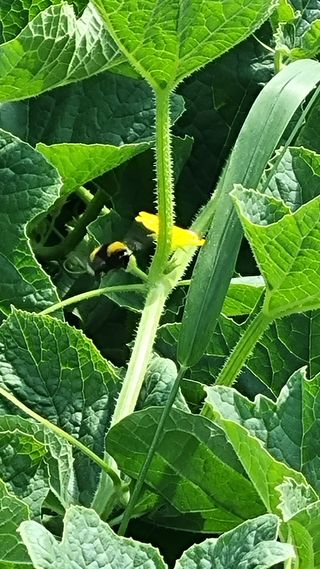 참외님의 작성글 사진