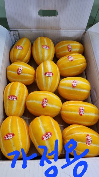 참외님의 작성글 사진