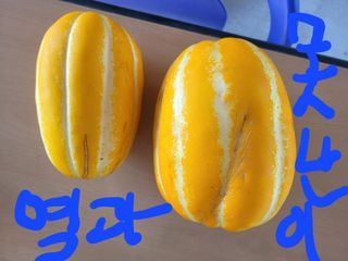 참외님의 작성글 사진