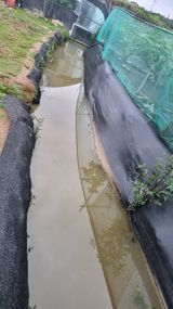 팜모닝 장마 대비 어떻게 하셨나요?·참여 게시글 이미지