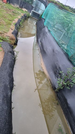 김민철 님의 장마 대비 어떻게 하셨나요? · 참여 작성글 사진