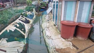 김민철 님의 장마 대비 어떻게 하셨나요? · 참여 작성글 사진